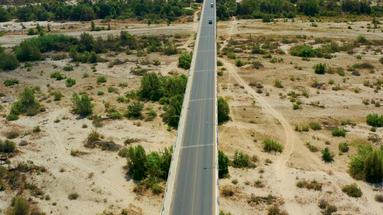 A straight paved road stays near the left side of the frame in San Jose Del Cabo, bordered by sandy dry ground, brush patches, trees, and no visible people.