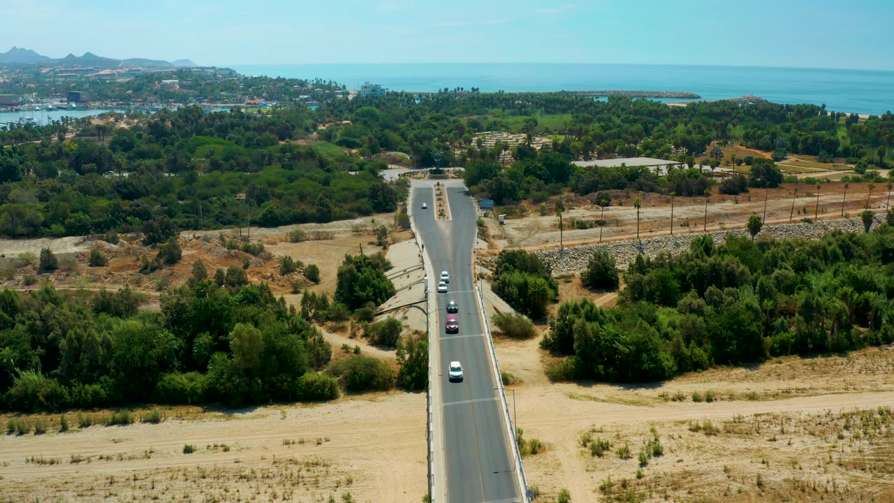 Aerial view of cars on a straight road leading toward trees and ocean