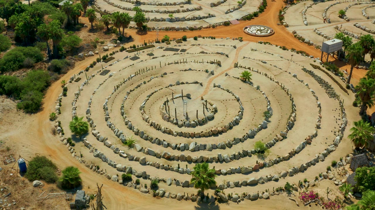 Aerial frame in San Jose Del Cabo, Mexico, showing the circular stone rings more centered, with palms near the lower edge, green tree cover above, and no visible people.
