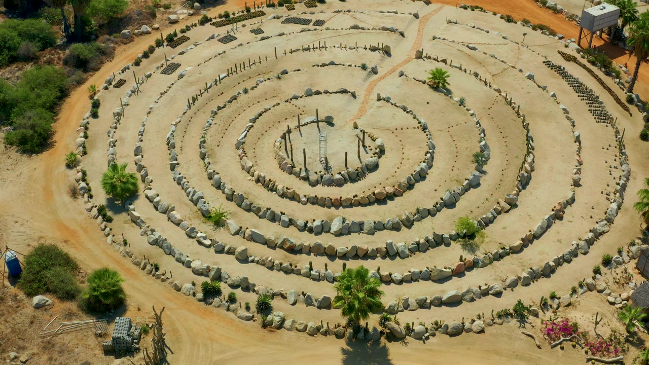 Aerial frame in San Jose Del Cabo, Mexico with the stone circle still centered, a palm cluster low in frame, scrubby greenery around the border, and no visible people.