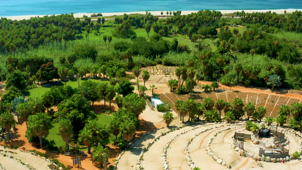 Second aerial frame in San Jose Del Cabo showing dense tree cover, palms, garden walkways, sandy beach, bright blue water, and no visible people.