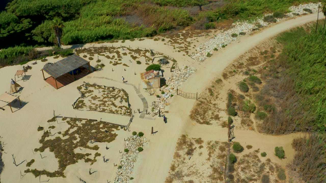High overhead frame in San Jose Del Cabo, Mexico showing a small roofed shelter, pale sand, scattered shade structures, a winding path, thick green vegetation, and tiny people.