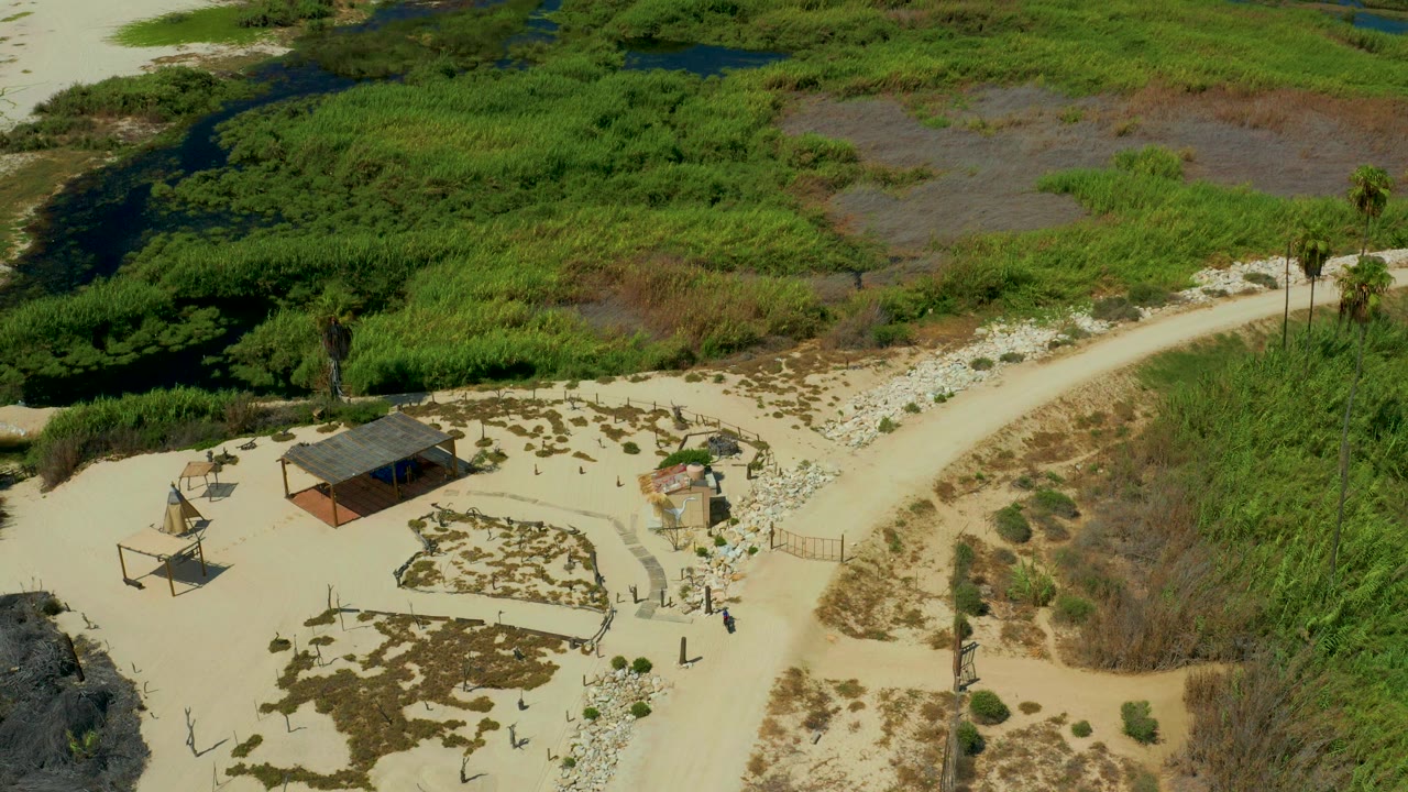 High view in San Jose Del Cabo, Mexico, showing the shack near the lower left, a pale trail crossing the middle, palm trees near the path, thick wetland growth, blue water, and no visible people.