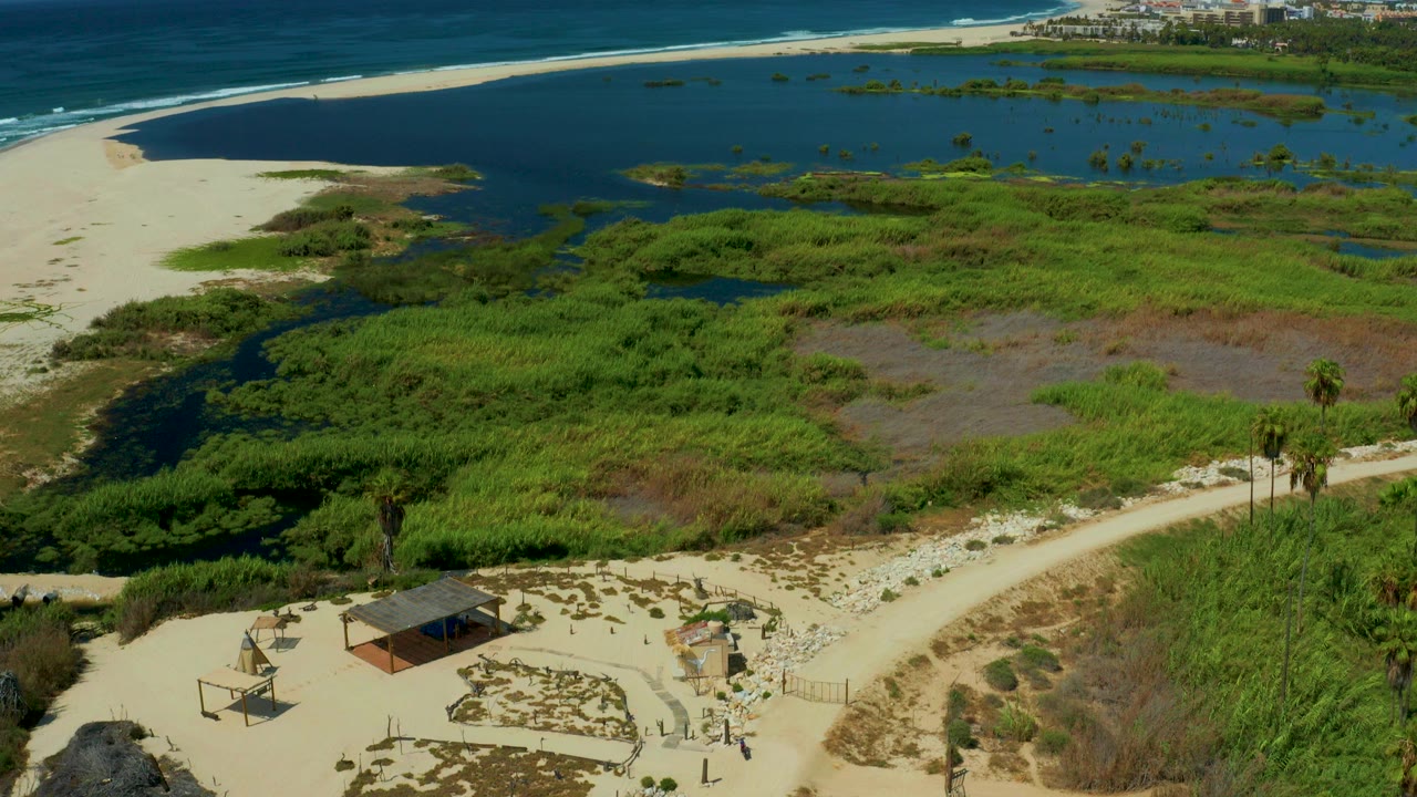 Aerial view in San Jose del Cabo, Mexico, showing a white sand beach beside dark blue ocean, lagoon water, green wetlands, sandy paths, and no visible people.