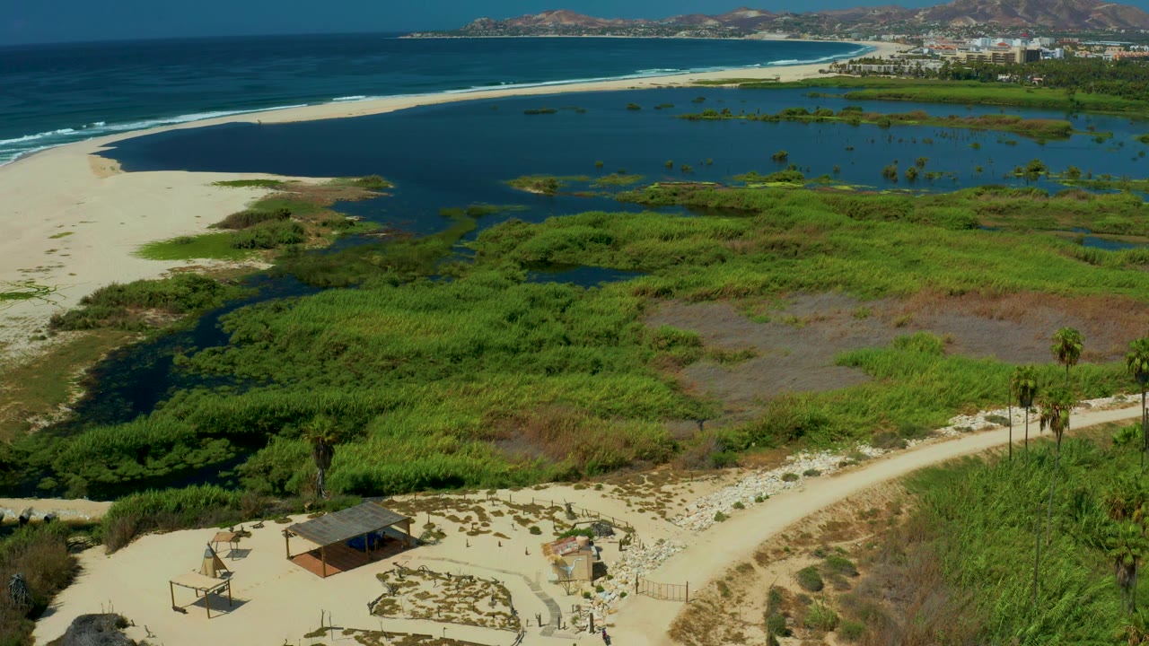 Aerial frame over San Jose del Cabo showing ocean on the left, a broad white sand beach, lagoon water and wetland plants across the center, sandy paths below, and no visible people.