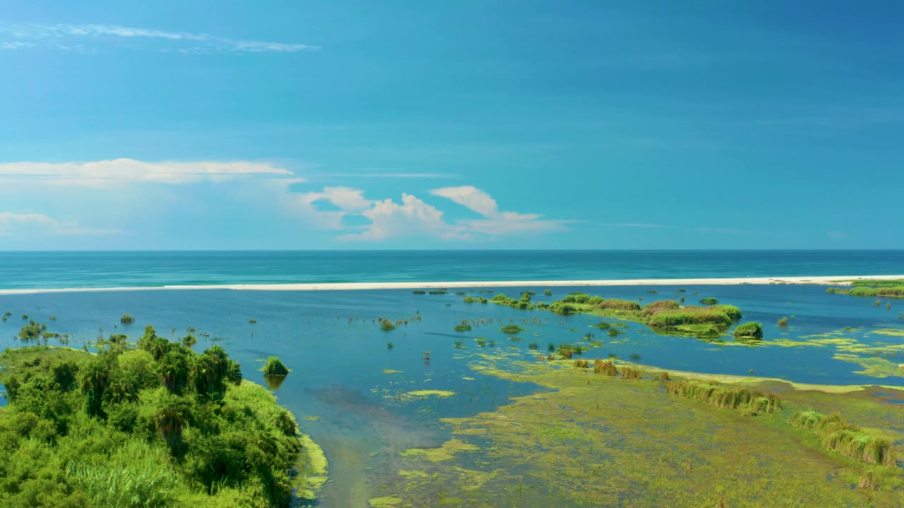 Frame from the San Jose Del Cabo clip showing scattered green vegetation across shallow coastal water, a dark blue ocean band at the horizon, and no visible people.