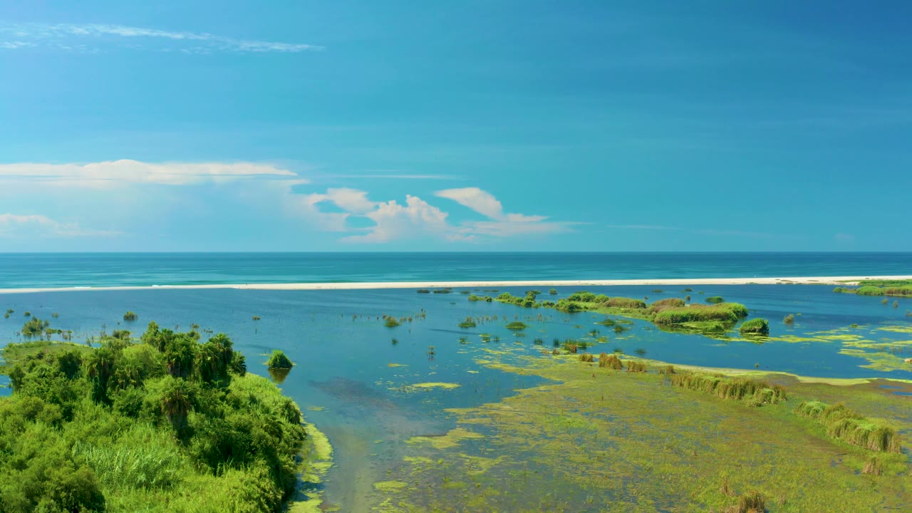 Mid-clip San Jose Del Cabo frame with fuller foreground greenery at the lower left, shallow turquoise water across the center, white surf offshore, and no visible people.
