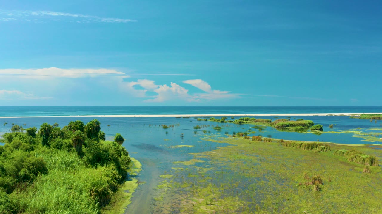 Wide elevated view of San Jose Del Cabo wetland vegetation, shallow blue-green water, distant surf line, and blue sky with no visible people.