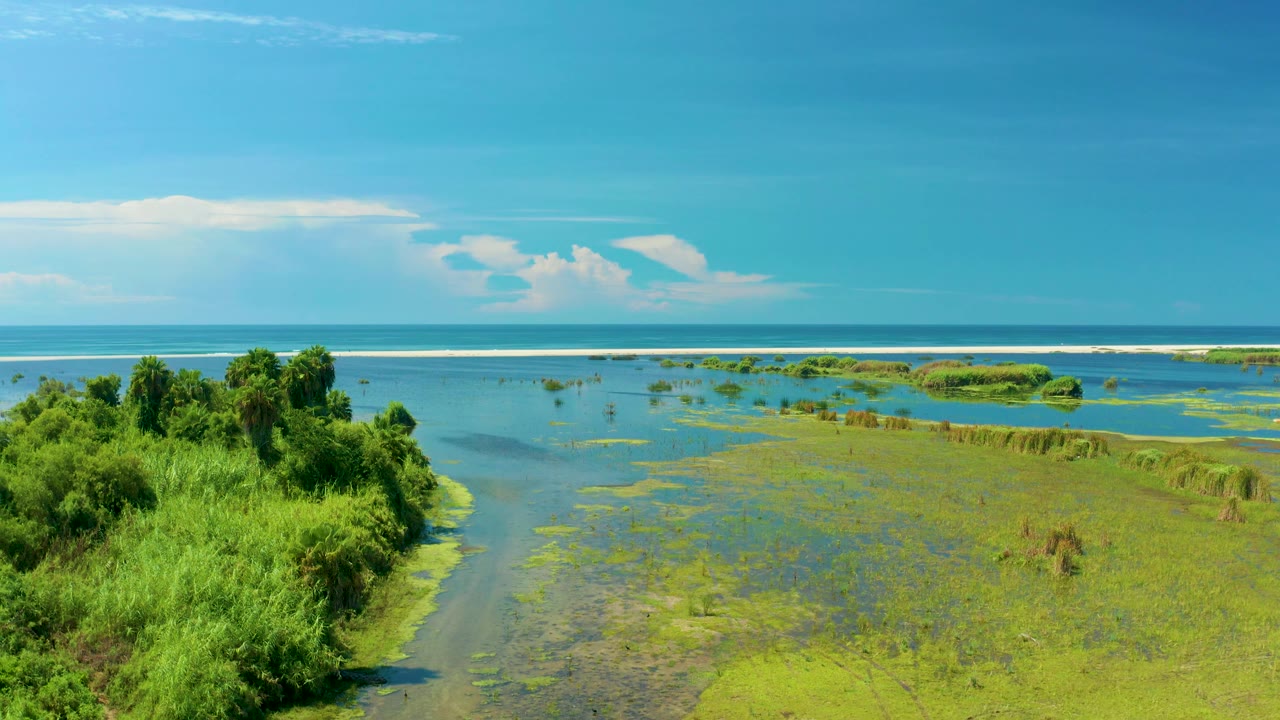 San Jose Del Cabo wetland scene with bright marsh vegetation, shallow blue water, low islands of plants, distant surf, and no visible people.