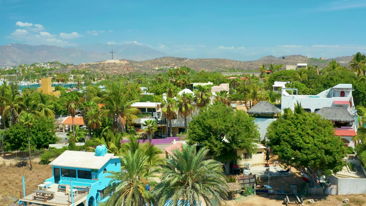 Third frame over San Jose del Cabo residences, with a large leafy tree at lower right, palms across the midground, hills behind, and no visible people.