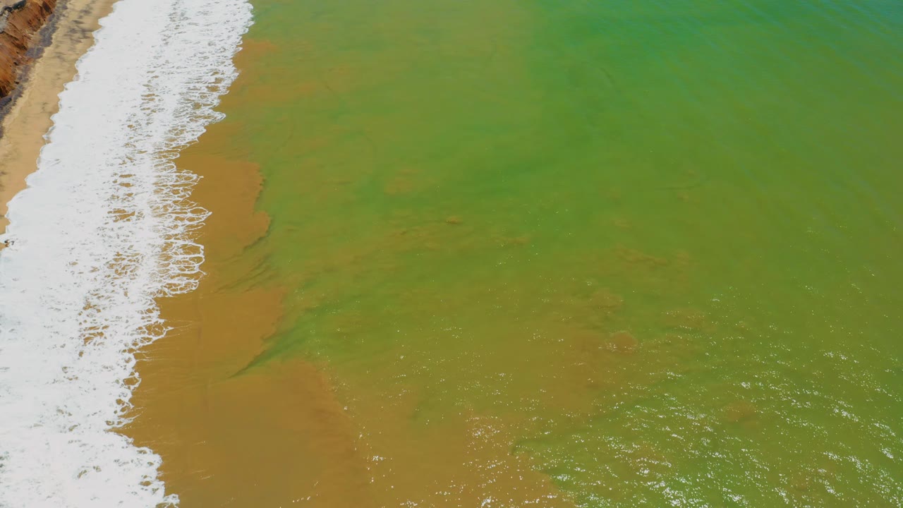 Overhead San Jose Del Cabo shoreline view with white surf along the left border and textured green water covering most of the frame, with no visible people.