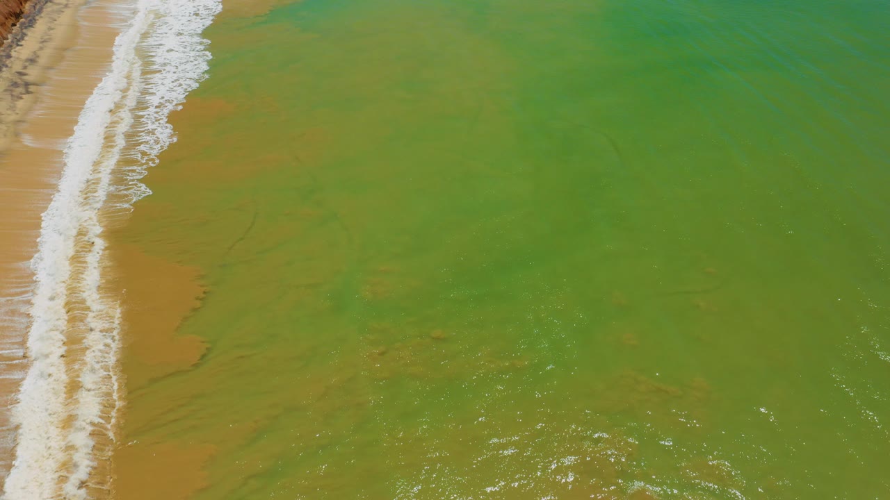 Overhead frame from San Jose Del Cabo shows white surf foam along the left edge and green-brown shallow seawater filling the rest of the view, with no visible people.