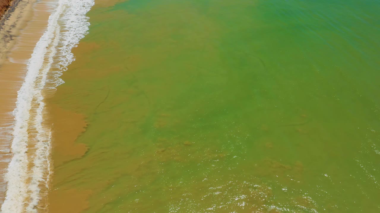 San Jose Del Cabo aerial frame shows a narrow strip of breaking white foam on the left and broad green seawater with brown patches beneath the surface, with no visible people.