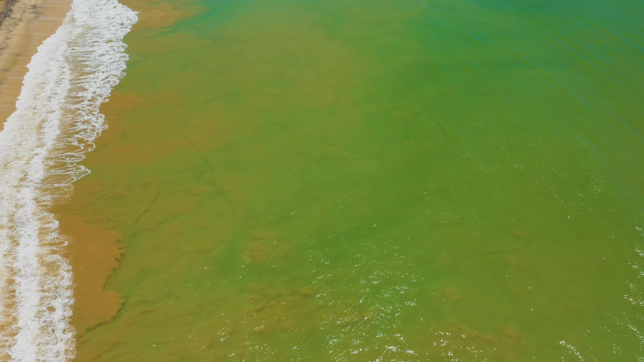 San Jose Del Cabo aerial still shows a thinner white surf strip at the left edge and mostly uninterrupted green water with brown undertones across the center and right, with no visible people.