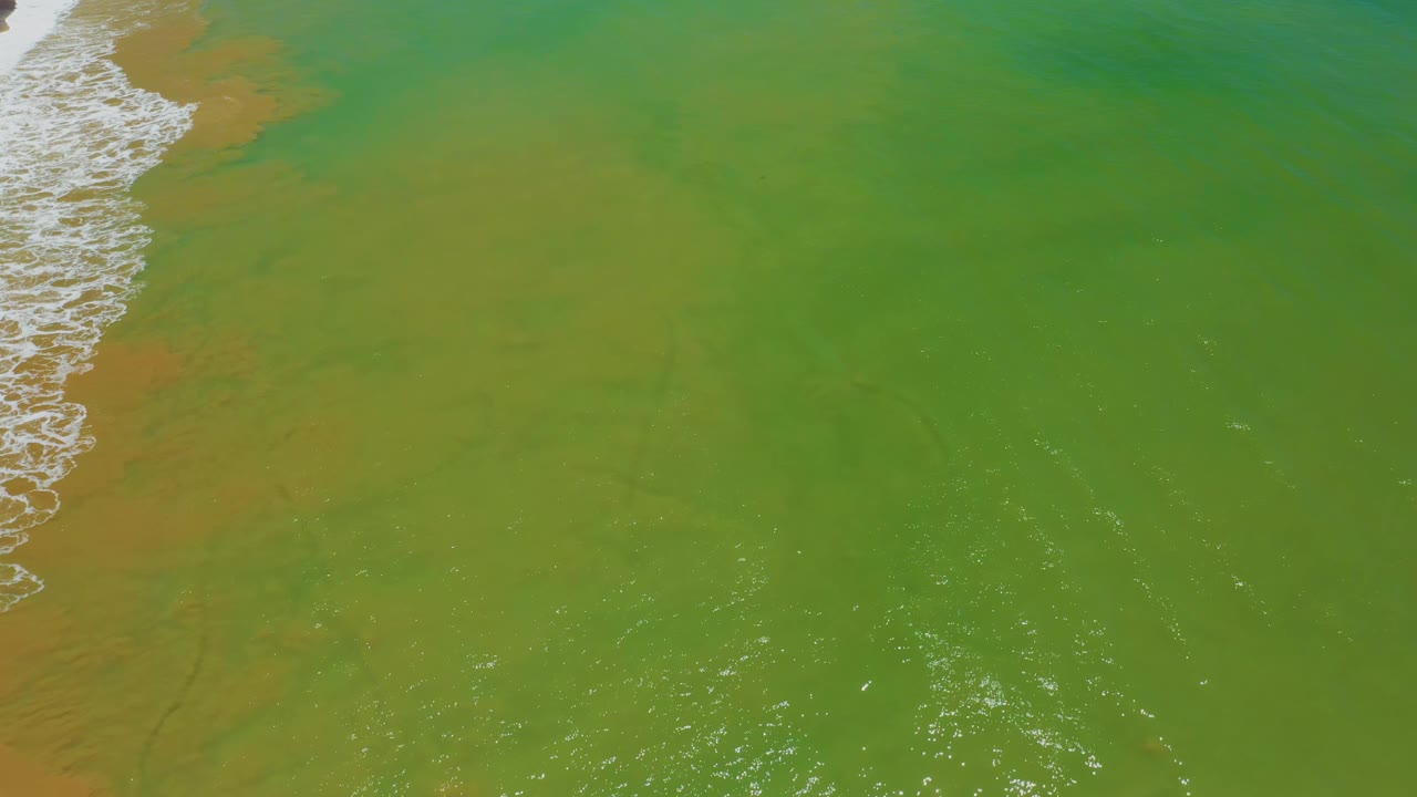 Overhead San Jose Del Cabo water frame with green color dominating, yellow-brown patches near the upper left, a thin surf edge, and no visible people.