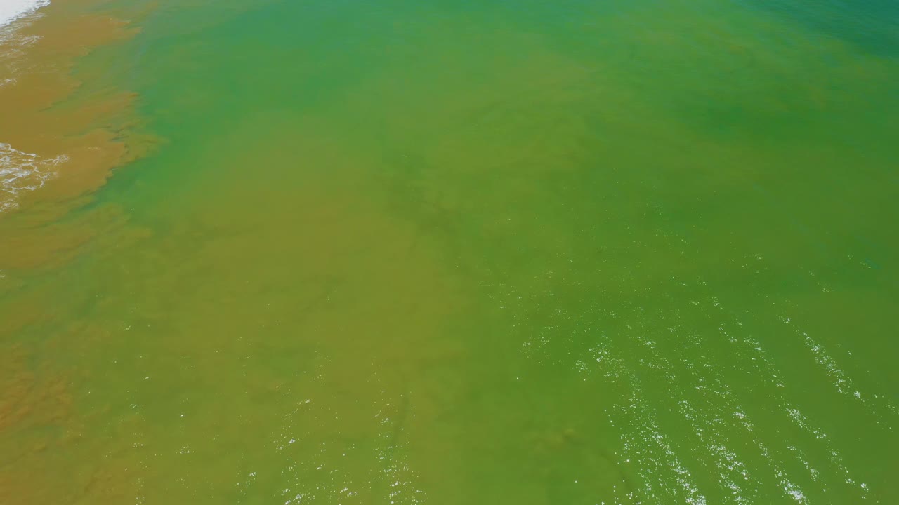 Green and yellow-tinted sea water fills the frame in San Jose Del Cabo, Mexico, with the shoreline still visible along the left edge and no visible people.