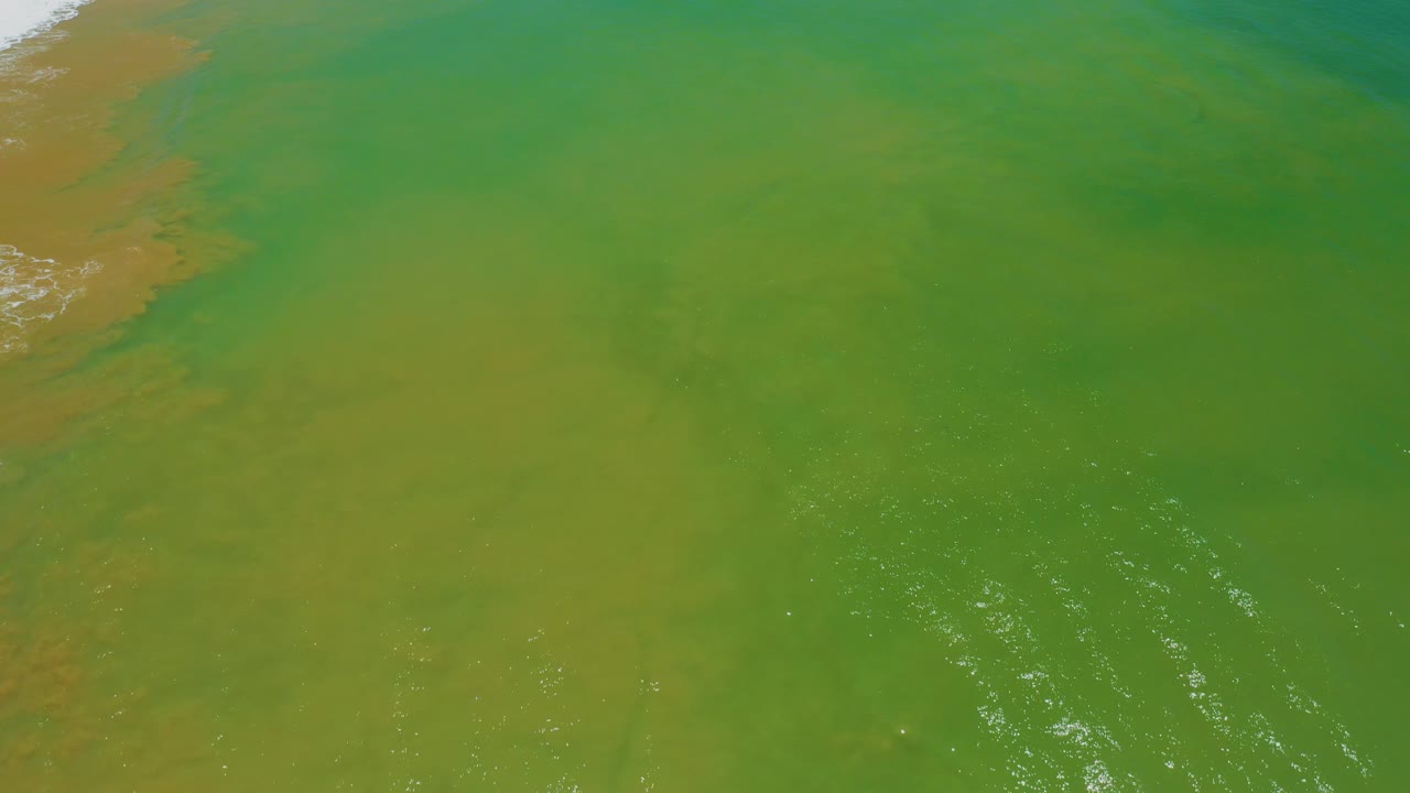 Downward-looking view of sea-green water in San Jose Del Cabo, Mexico, with muted yellow patches, faint ripple streaks, left-edge shoreline foam, and no visible people.