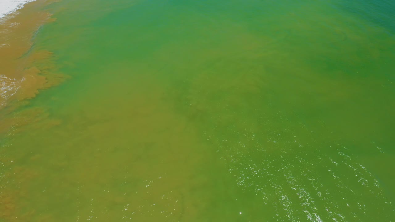 Green coastal water in San Jose Del Cabo, Mexico, with more open water across the center, white glints near the lower right, a thin shoreline strip at left, and no visible people.