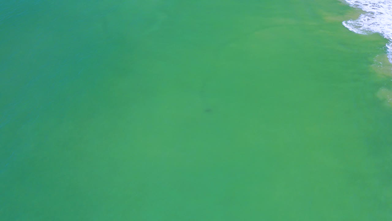 A small dark underwater shape sits in the green San Jose Del Cabo water while pale bottom patterns and surf at the upper right remain visible, with no visible people.