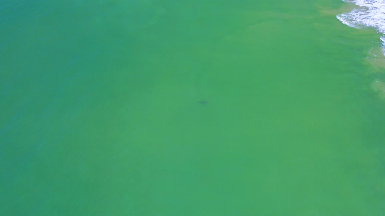 Green ocean water fills the San Jose Del Cabo frame, with a muted underwater shadow near the middle and foamy white surf touching the upper right edge, with no visible people.