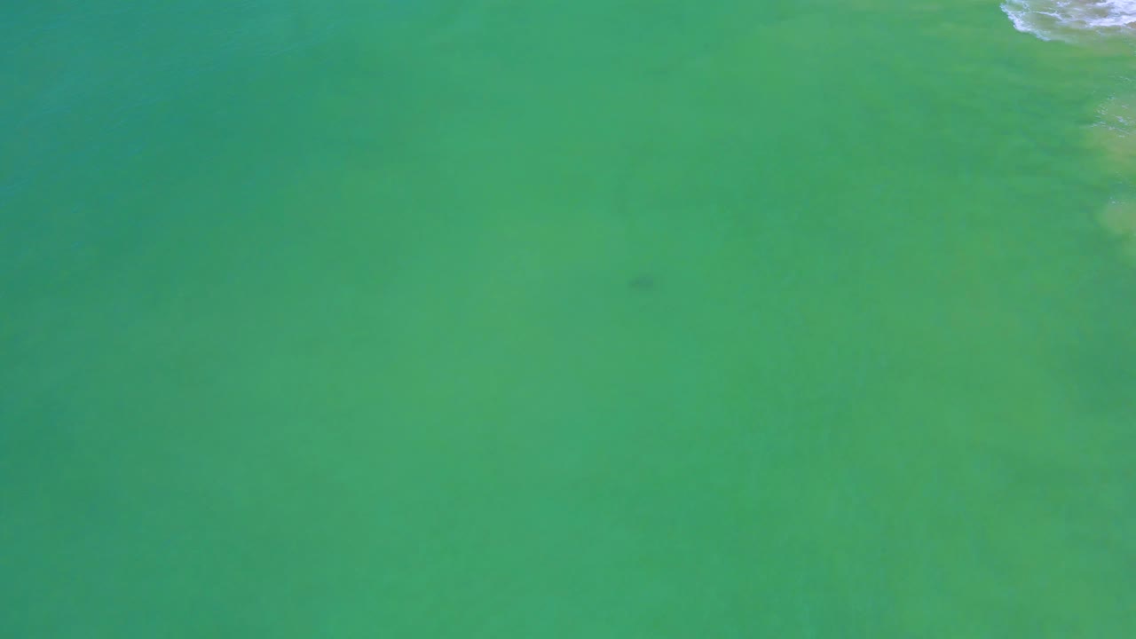 Green-blue water off San Jose Del Cabo shows a small dark underwater shape near center, soft surface texture, and no visible people.