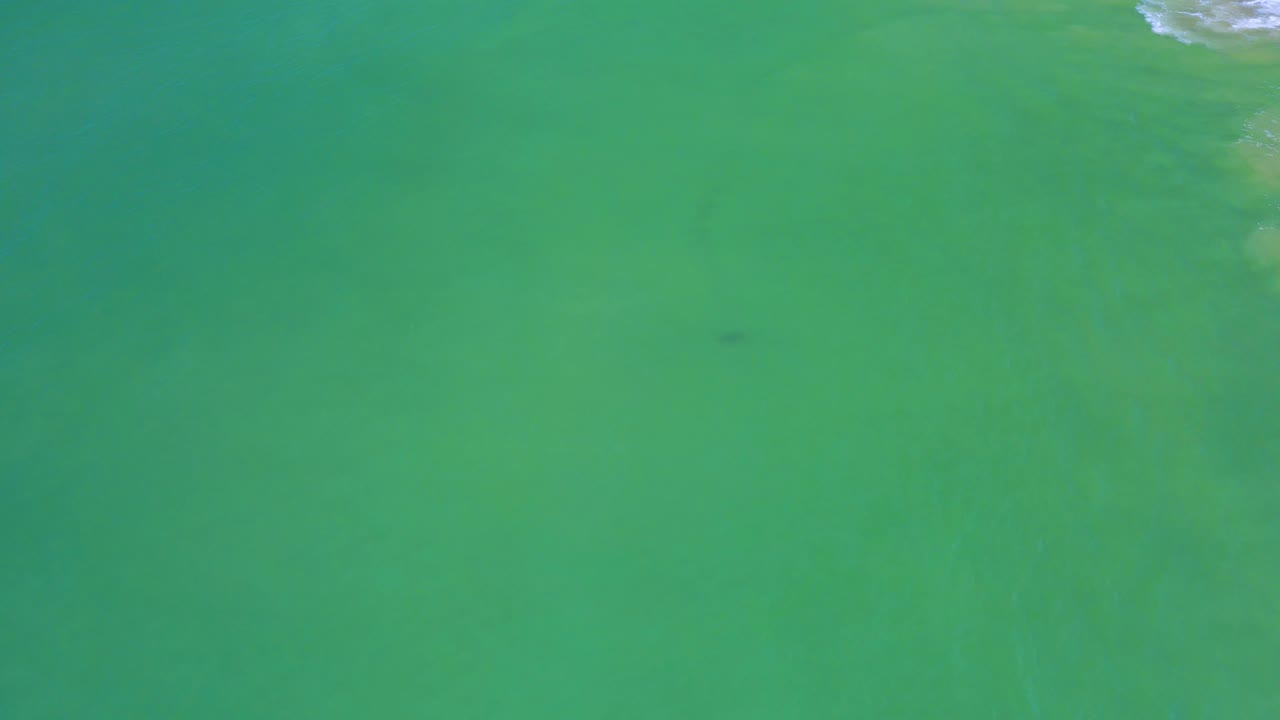 Open green sea water in San Jose Del Cabo remains mostly uniform, with faint ripples, pale wave texture near the upper right corner, and no visible people.