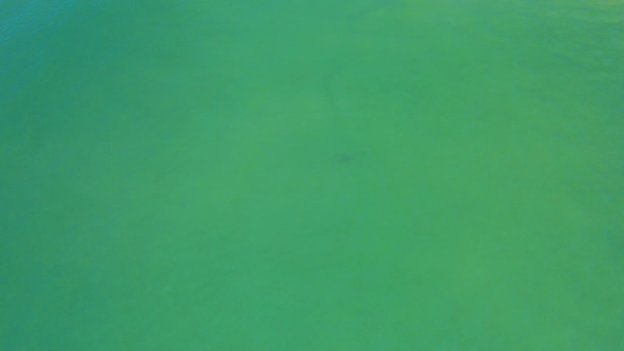 Green ocean water with faint dark fish below the surface