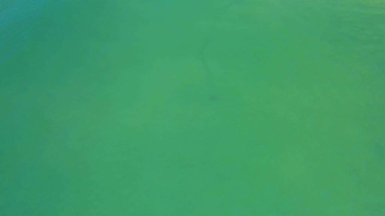 Green water fills the San Jose del Cabo frame with soft ripples and a small dark underwater shape shifted lower in view, with no visible people.
