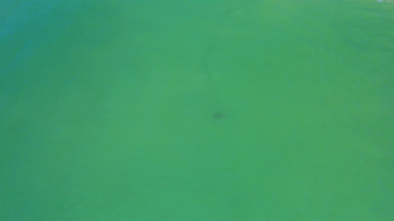 A nearly full-frame view of green ocean water in San Jose del Cabo shows a faint dark underwater mark near the center area and no visible people.
