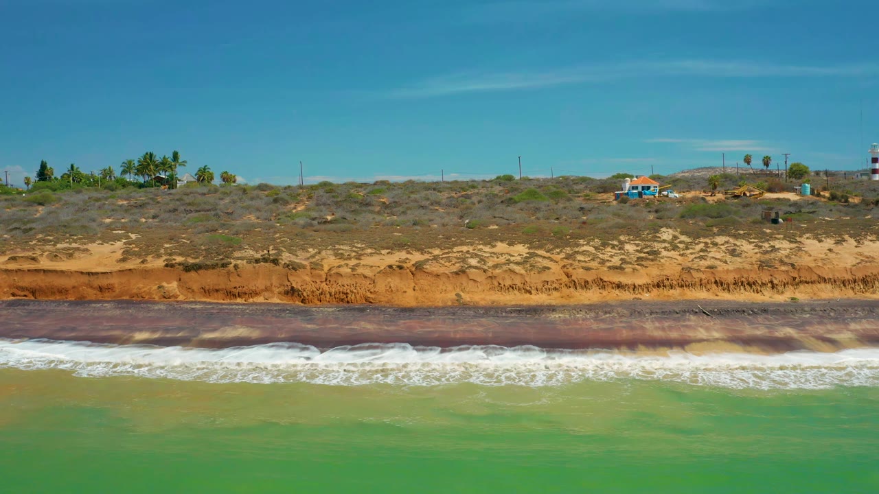 Green water and a foamy wave below a reddish shoreline with scrub and distant palms.