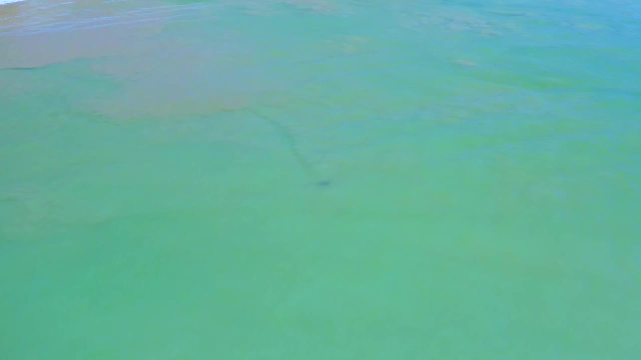 Aerial view over green ocean water in San Jose del Cabo, Mexico, with a faint dark trail and a small dark object near the lower middle, no visible people.