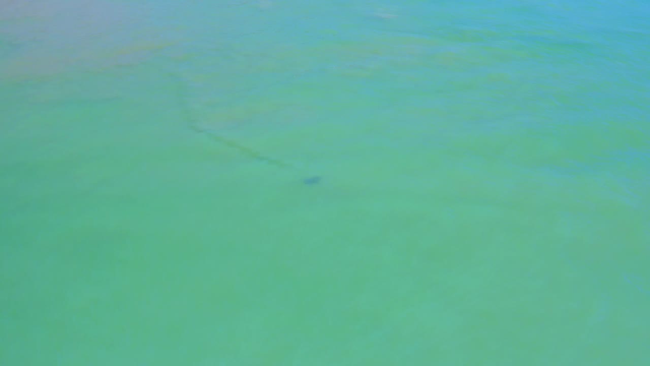 Blue-green sea water with a small dolphin shape and darker underwater line.