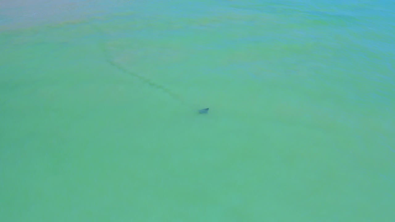 Overhead view of blue green water in San Jose Del Cabo with a small dark triangular shape just below the surface and no visible people.