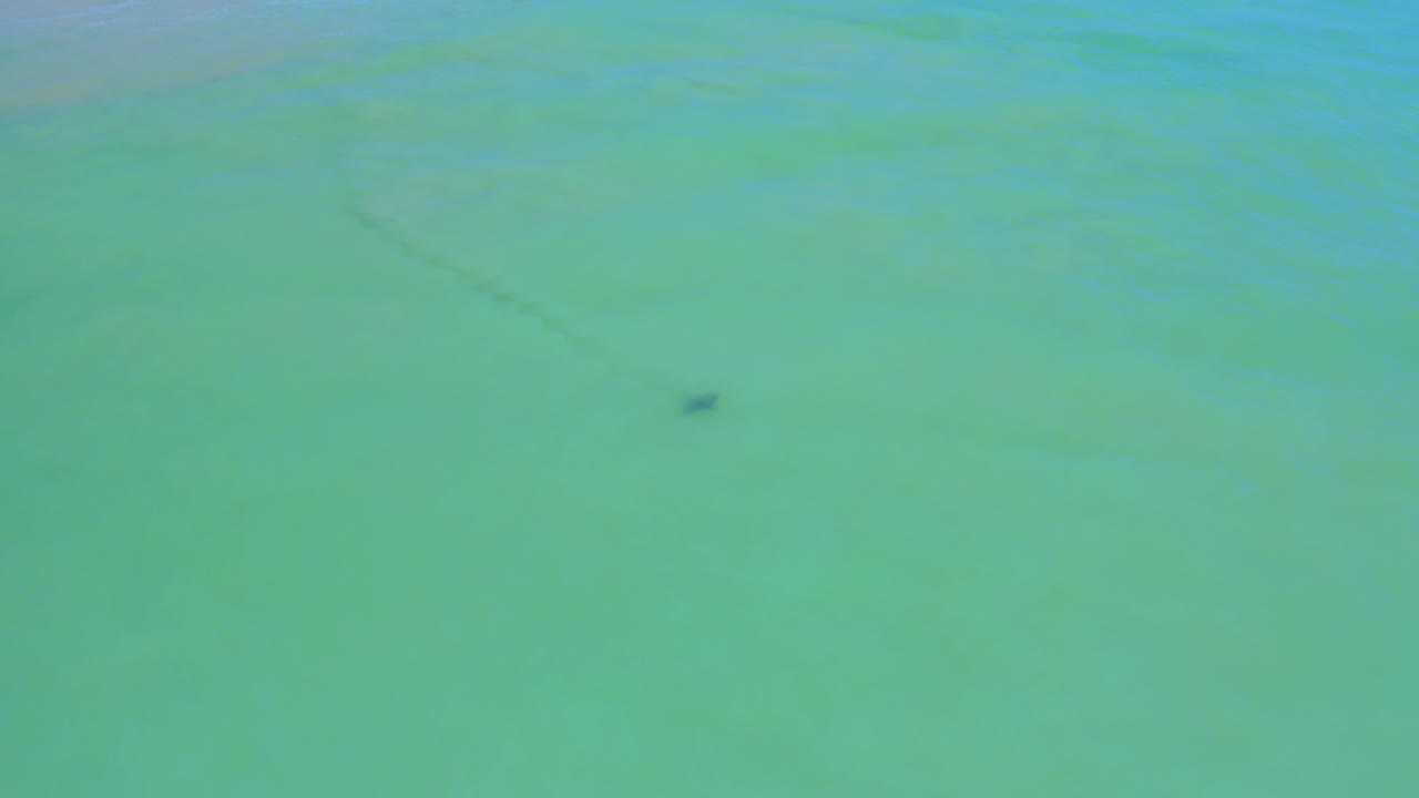 Pale green ocean water in San Jose Del Cabo fills the frame as the dark triangular object appears slightly farther right, with no visible people.