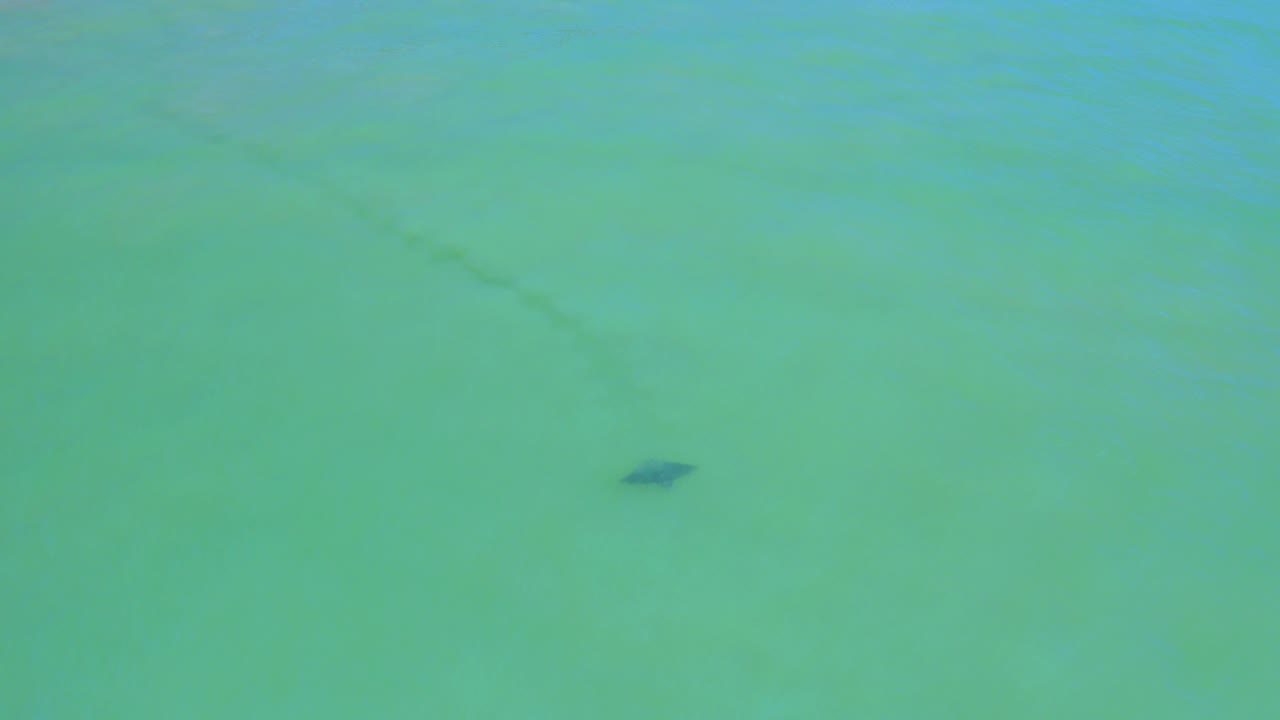 Overhead view of turquoise shallow water in San Jose del Cabo, Mexico, with pale sand patterns and a small dark fish-like shape near the lower center, no visible people.