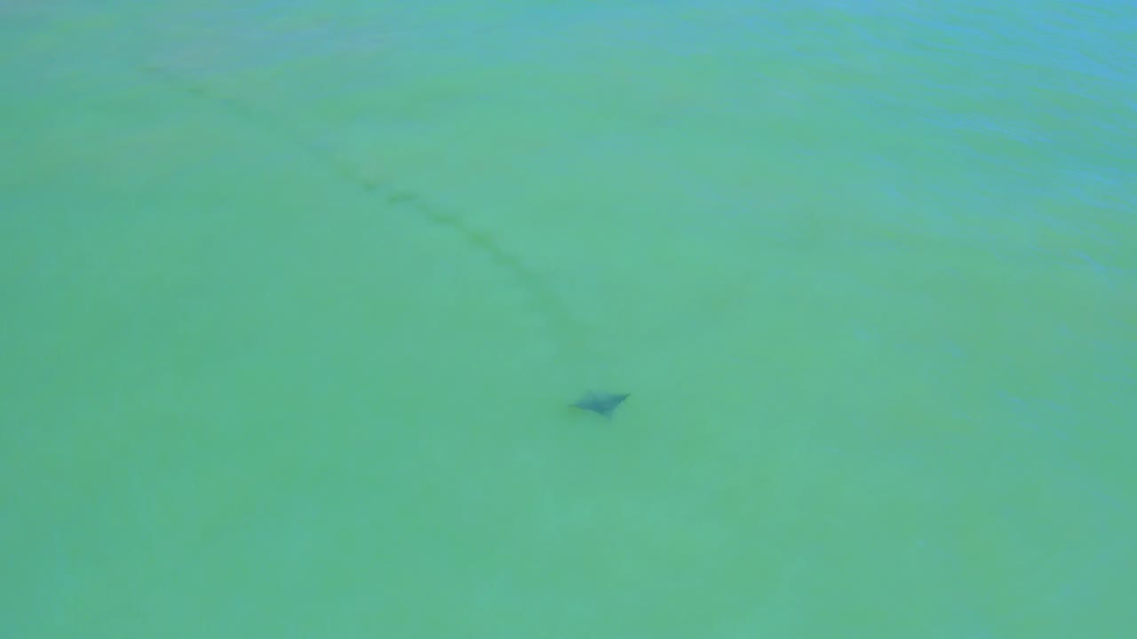 A small dark fish-like shape sits slightly right of center in clear turquoise water at San Jose del Cabo, Mexico, with muted sand bands below, no visible people.