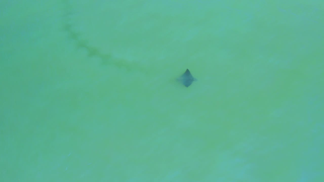Top-down view of San Jose del Cabo water with a dark pointed shape near the upper right and broad empty water around it, with no visible people.