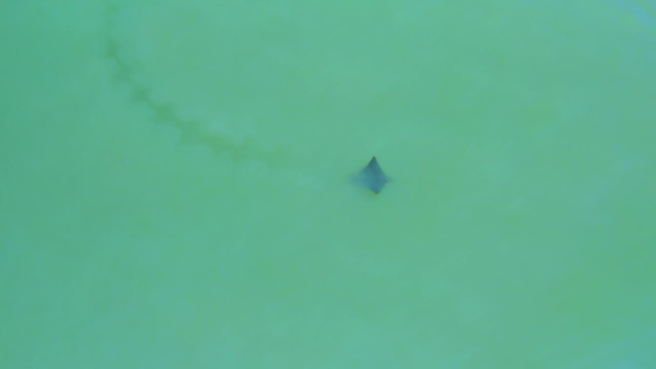 Overhead water frame with the dark shape lower in the view and faint cloudy patches.