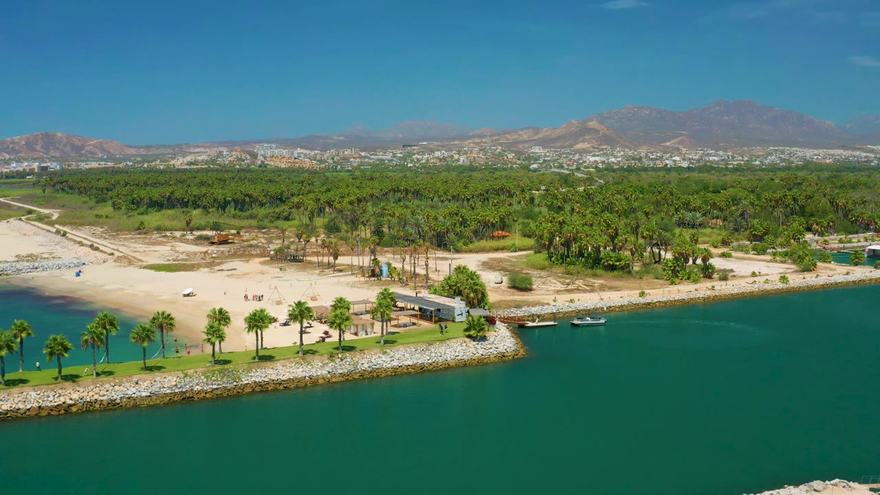 Aerial view in San Jose Del Cabo, Mexico, showing the beach cove, straight palm row, green tree line, distant buildings, mountains, and a small boat near the shore.