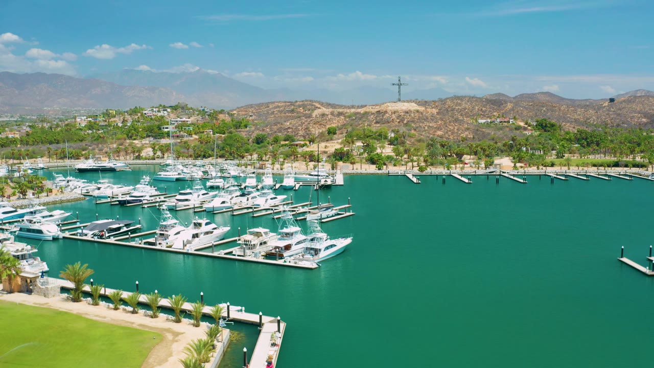 Wide San Jose Del Cabo marina frame showing dense white boats at left, empty green water at right, palms near the lower edge, dry hills beyond the shore, and no visible people.