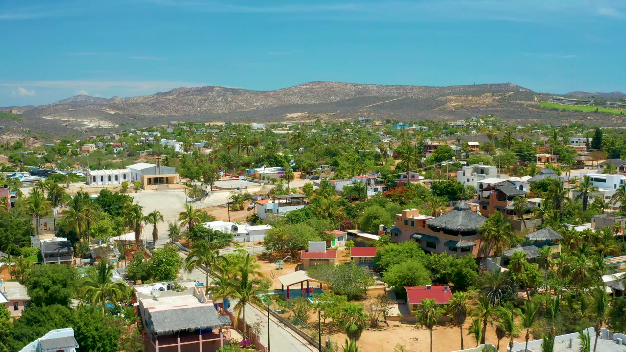San Jose Del Cabo residential blocks fill the frame, with palms around rooftops and a rocky mountain range in the background, no visible people.