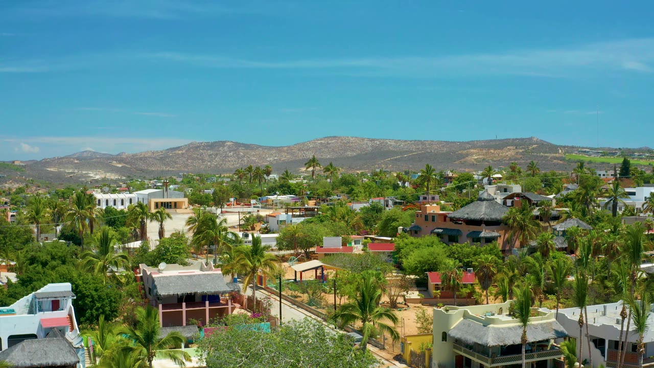 San Jose Del Cabo neighborhood view showing palms, low residential buildings, thatched roof structures, dry hillside background, and no visible people.