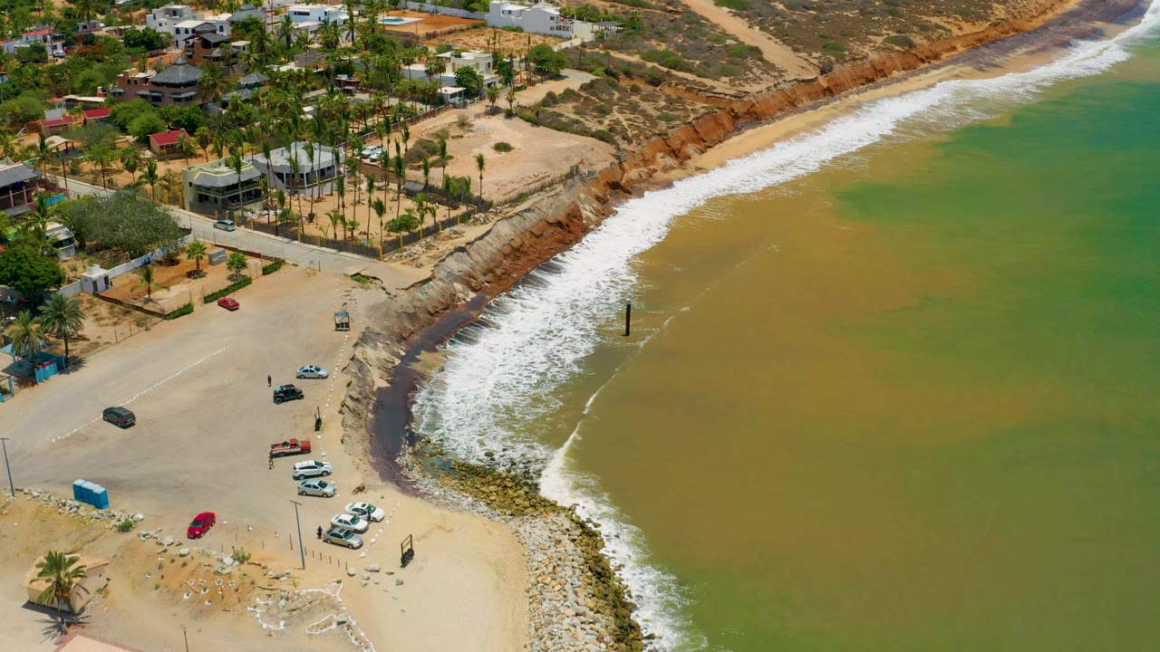 Surf line and parked cars beside palm trees and coastal homes.
