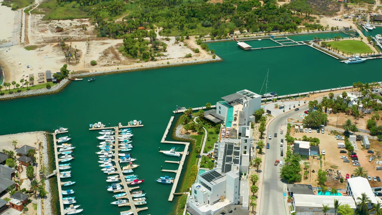 Aerial view in San Jose Del Cabo showing broad green harbor water, clustered boat docks, a road with cars, low waterfront structures, sandy land, trees, and no visible people.