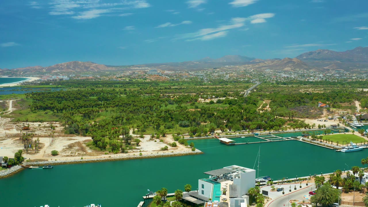 Drone-height view across marina water toward palms, trees, and mountains.