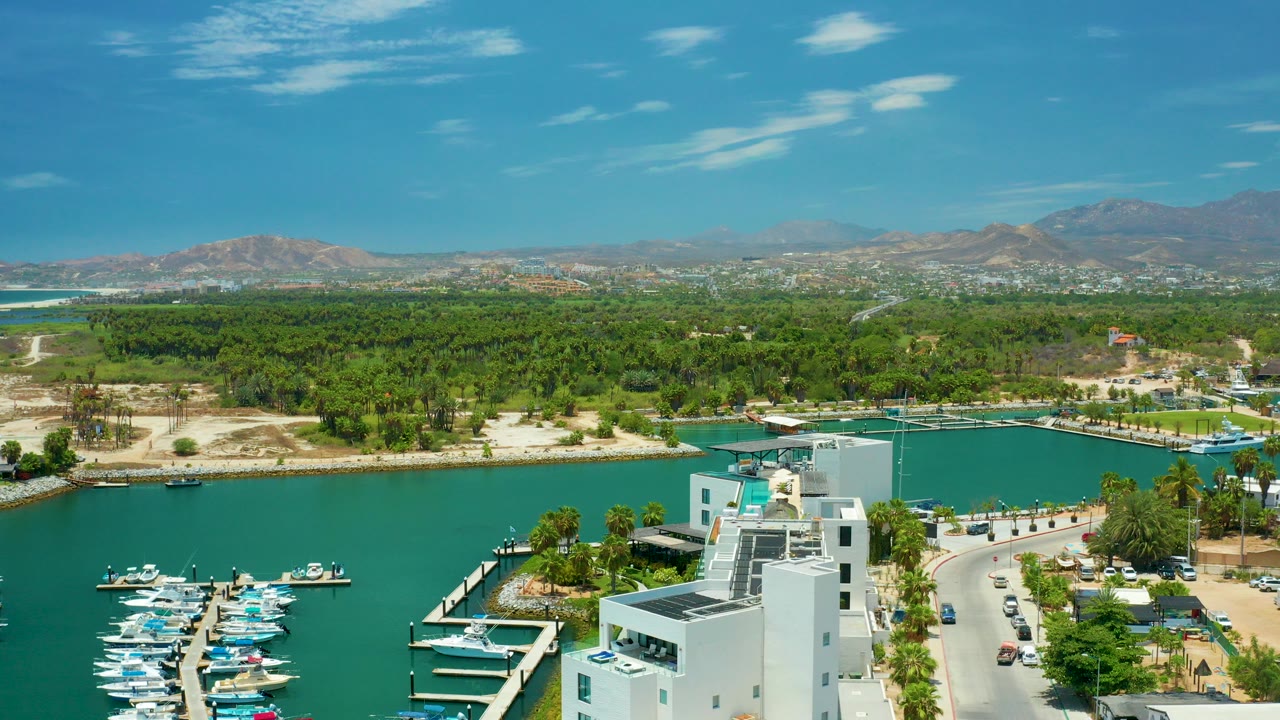 Aerial frame over San Jose Del Cabo showing turquoise marina water with docked boats at lower left, white waterfront buildings near the bottom, a palm-filled shore, distant dry mountains, and no visible people.