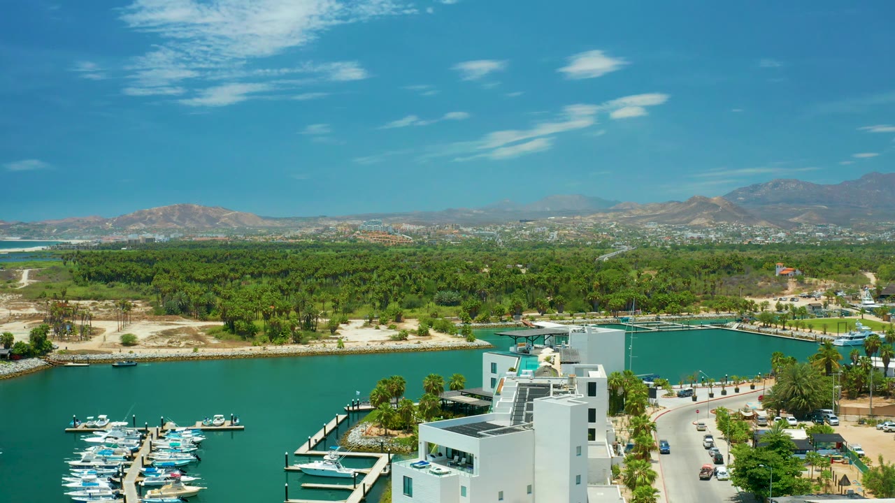 Aerial marina shoreline with boats, palms, white buildings, roadway, green terrain, and mountains.