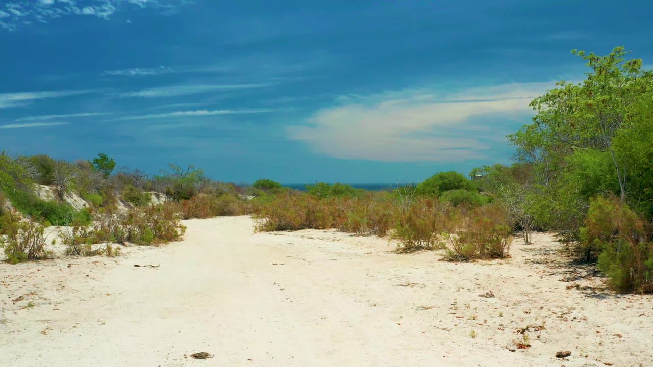 At one second, bright sand fills the foreground while green and brown coastal shrubs frame the distant San Jose del Cabo sea horizon with no visible people.