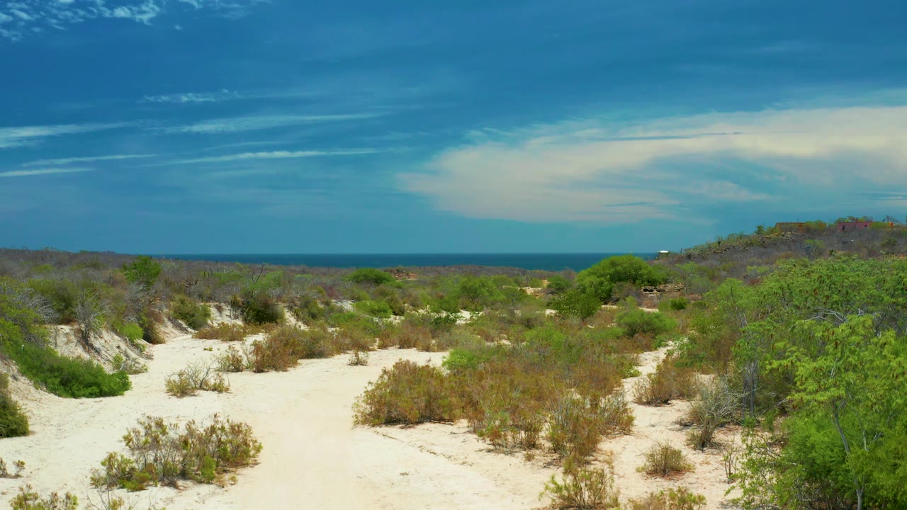 Coastal desert terrain in San Jose Del Cabo, Mexico, with pale sand tracks, low shrubs, a scrub hill at right, ocean in the distance, and no visible people.