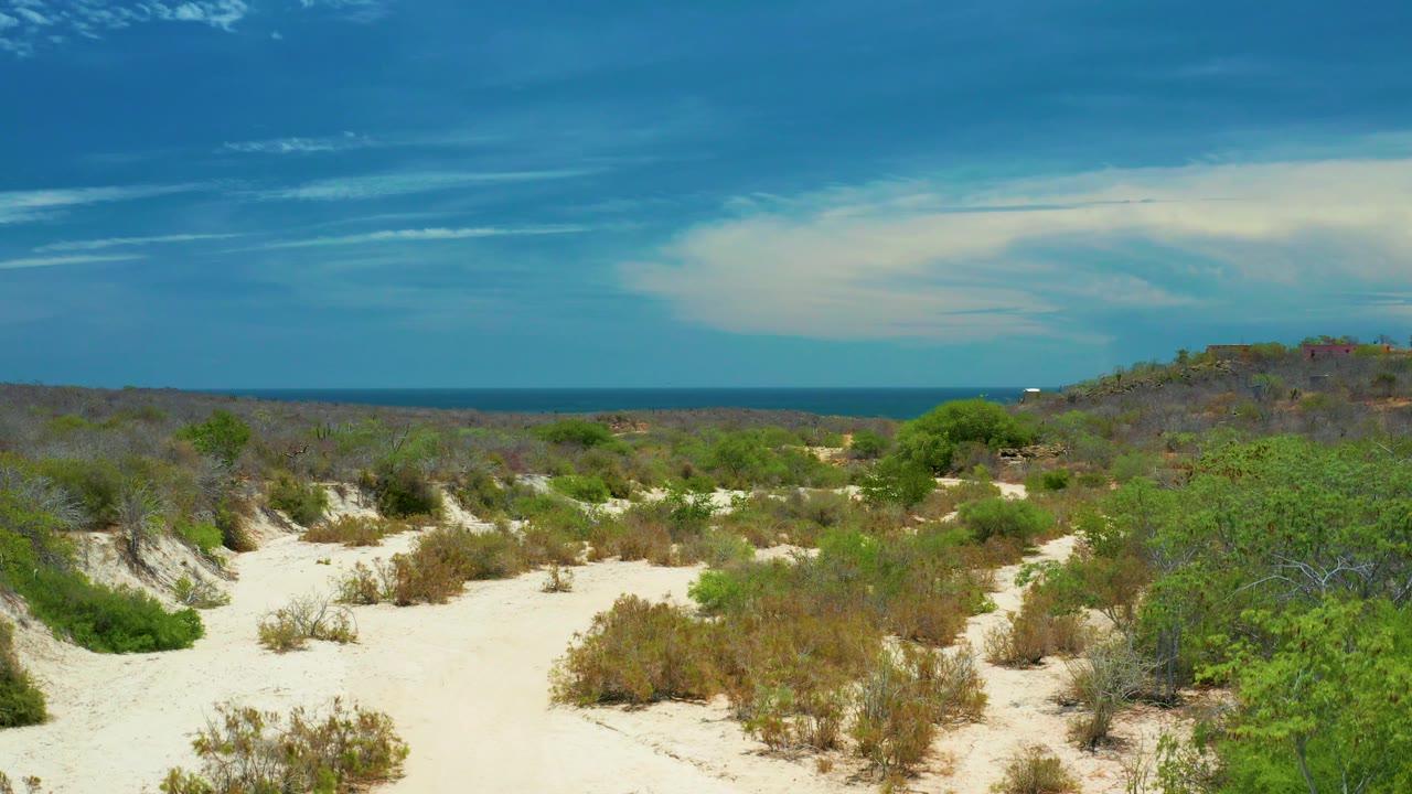 Wide San Jose Del Cabo desert view with open sand, scattered dry plants, low scrub hills, a level ocean horizon, and no visible people.